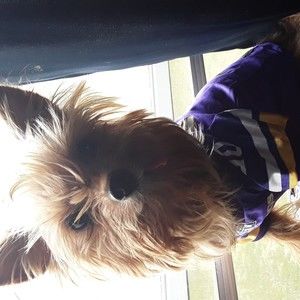 Meet your Posher, Maxton